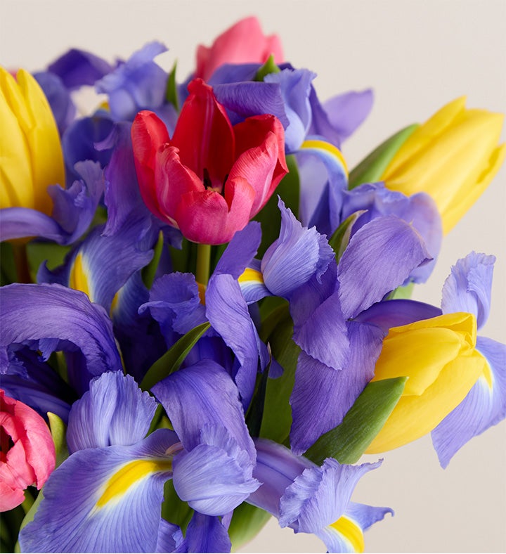 Fanciful Spring Tulip & Iris Bouquet