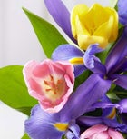 Mother's Day Butterfly Kisses