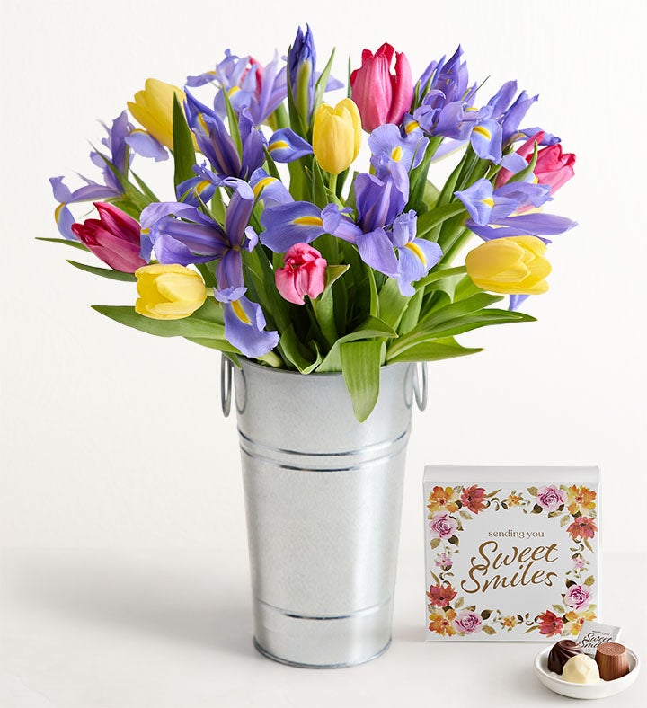 1-800-Flowers Flower Delivery Fanciful Spring Tulip & Iris Bouquet W/ French Flower Pail & Chocolate