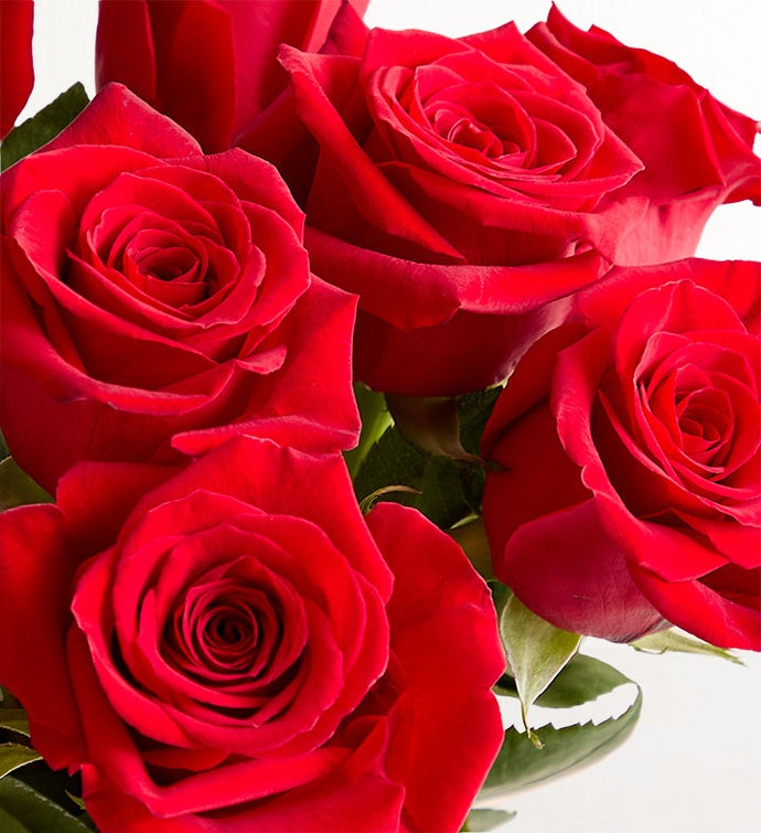 Red Roses