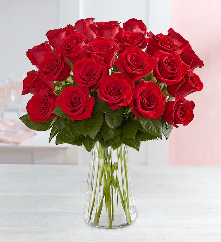 Two Dozen Red Roses + Free Vase
