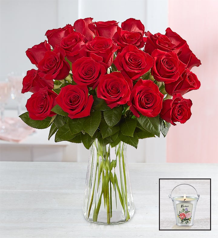 Two Dozen Red Roses + Free Vase & Free Candle