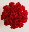 Two Dozen Red Roses