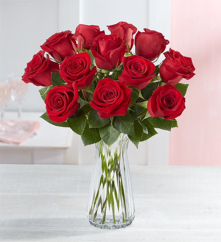 One Dozen Red Roses + Free Vase