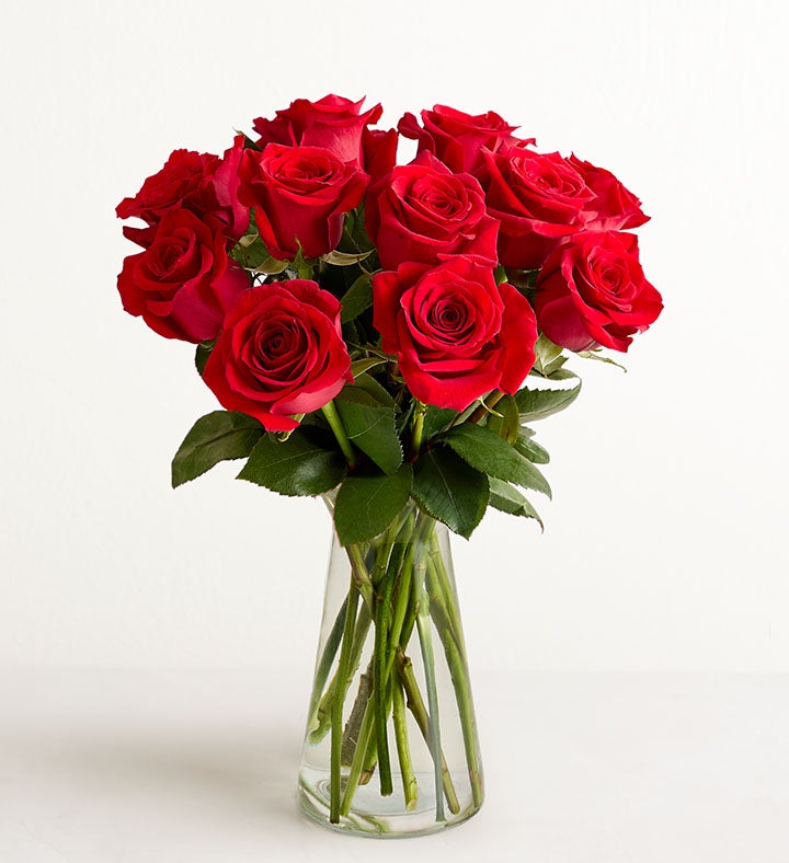 Red Roses