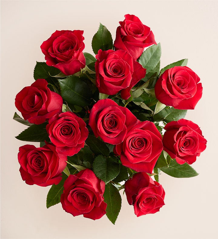 Red Roses, 12 24 Stems