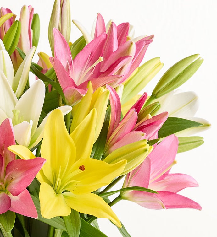 Sweet Spring Lily Bouquet + Free Vase