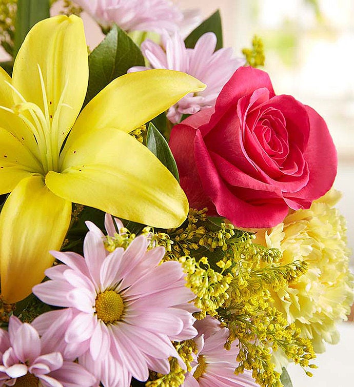 Fields of Europe® for Mom
