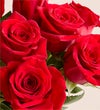 Two Dozen Red Roses