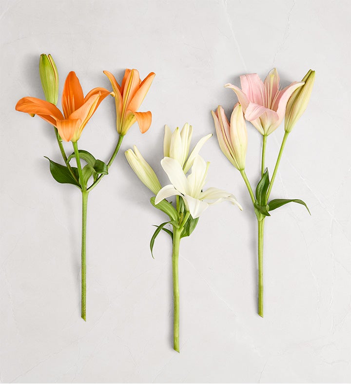 Vibrant Summer Lily Bouquet
