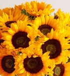 Sunflower Bouquet