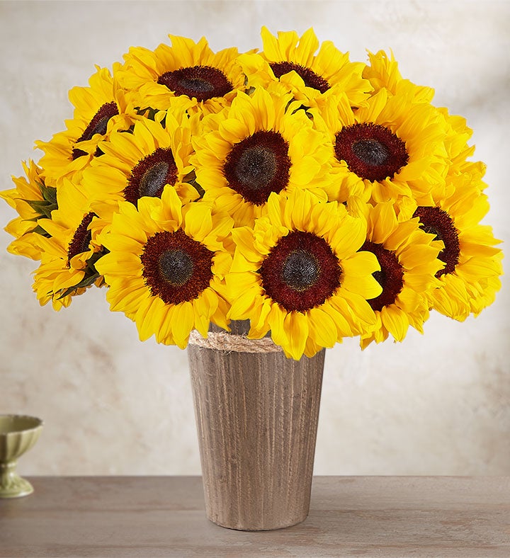 Modern Sunflower Bouquet, 20 Stems: Save 15%