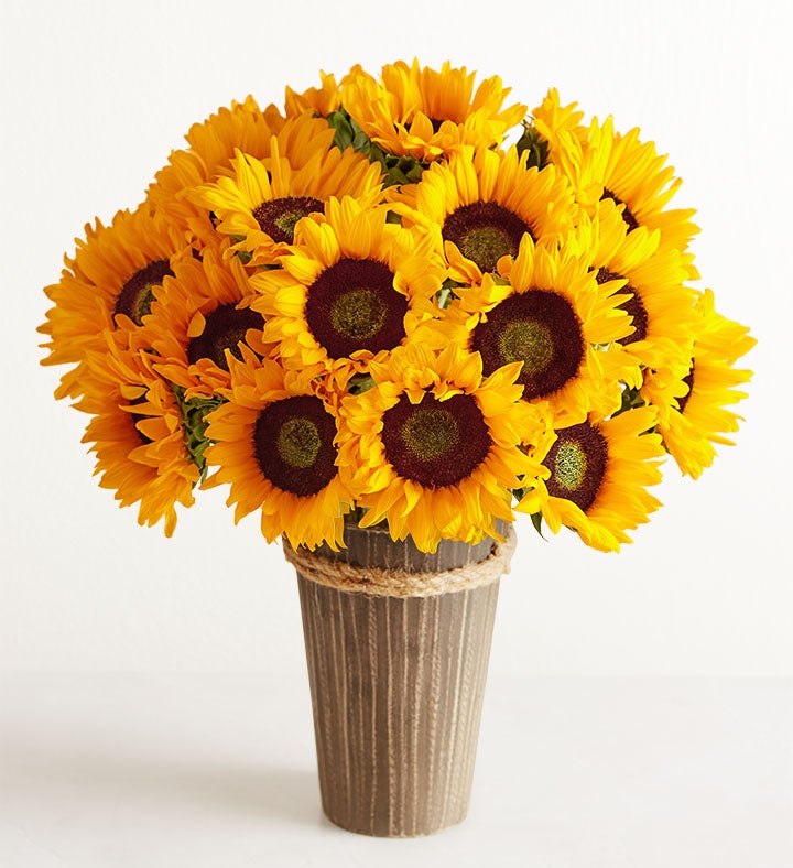 Flower Color Meaning | Significance of Flower Colors | Petal Talk