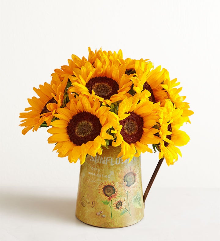 Sunflower Charm, 10 Stems