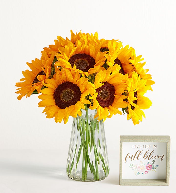 1-800-Flowers Flower Delivery Sunflower Bouquet 10 Stems W/ Clear Vase & Sign