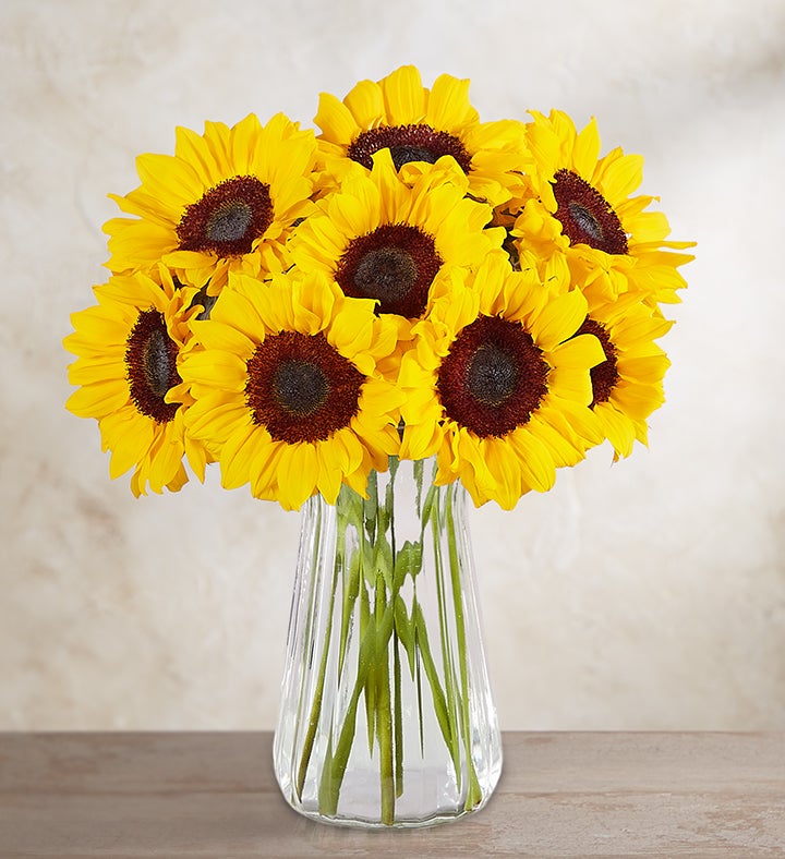 Sunflower Bouquet | 1800Flowers.com - 95044