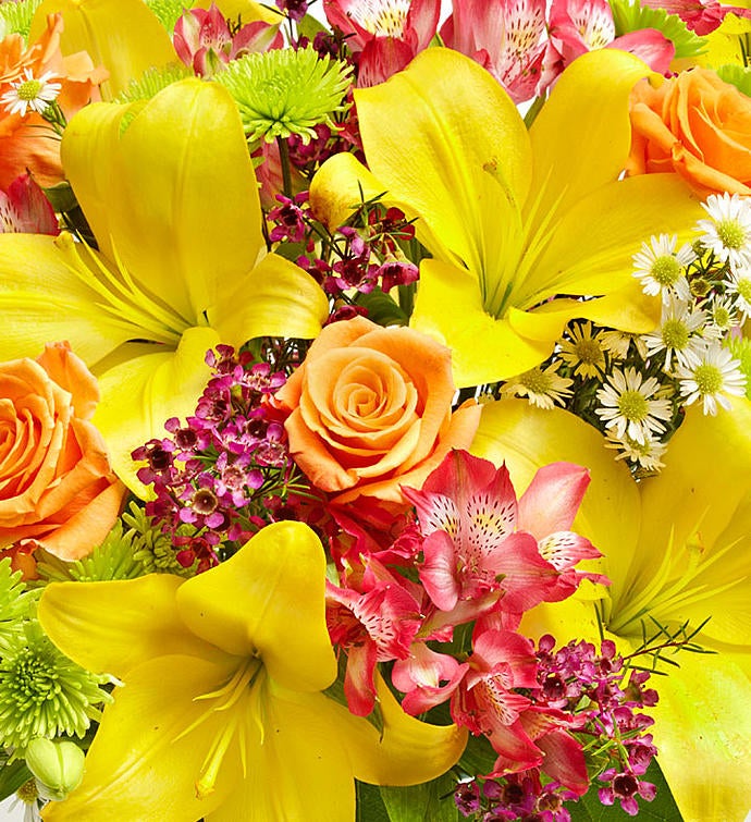 September's Arrangement