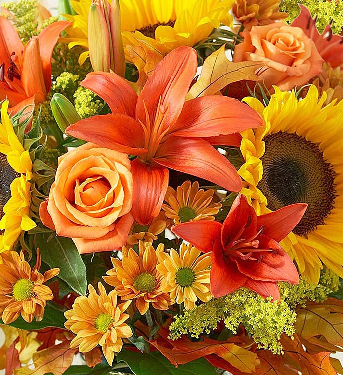 November's Arrangement