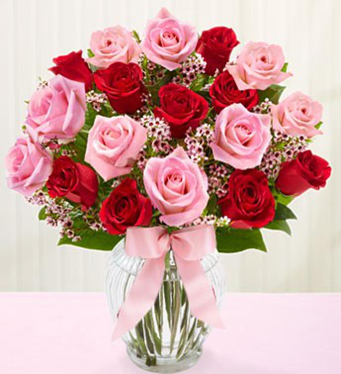 Shades of Pink and Red