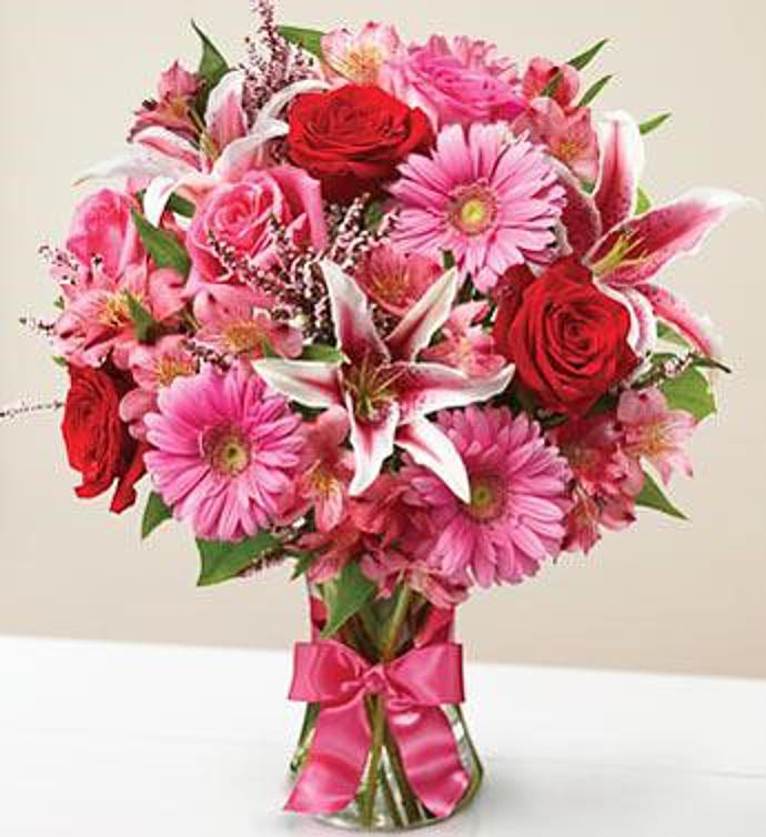 Fields of Europe Romance