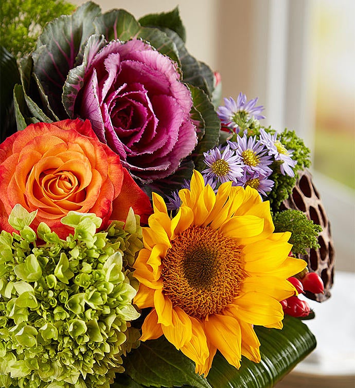 Garden of Grandeur™ for Fall 99170