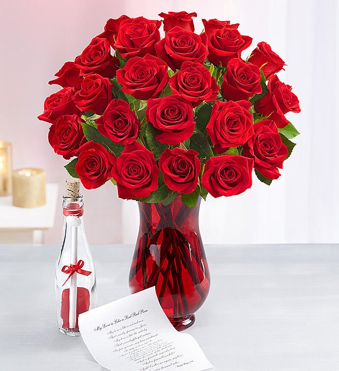 Message in a Bottle® with Red Roses, 12-24 Stems