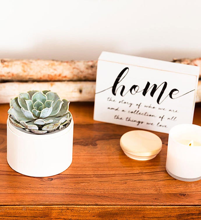 img_4454_succulent_supplied_alt