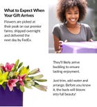 Magnificent Pink Rose & Lily Bouquet