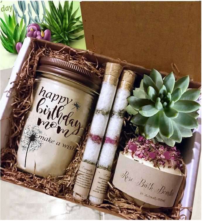 Best Mom Ever, Gift For Mother, Mother's Day Gift, Live Succulents, Ha –  Plant Box Co