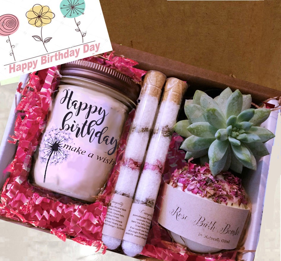 Mothers Day Gift Box Plant Mom Gift Succulent Gift Cute -  Denmark