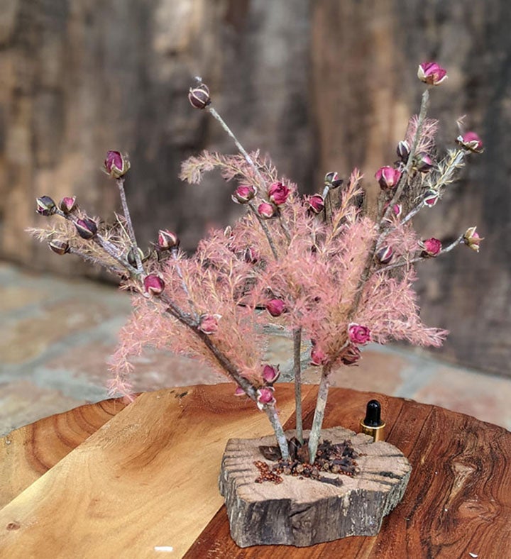 Rose Tree Dried Natural Flower Decor With Fragrance