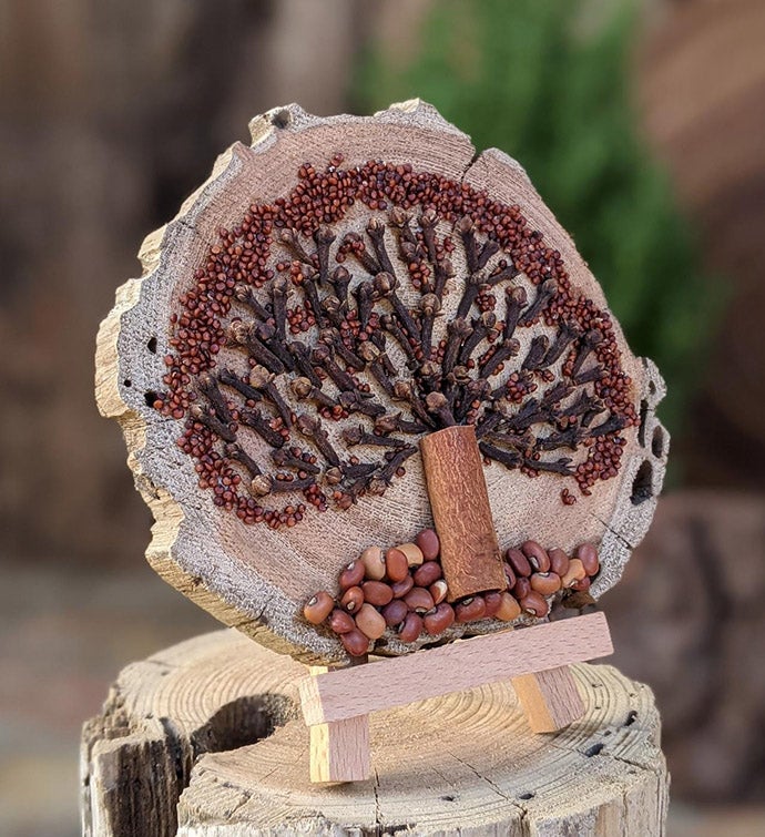 Seed Art Home Decor Centerpiece