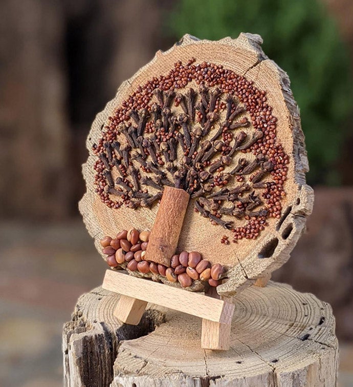 Seed Art Home Decor Centerpiece