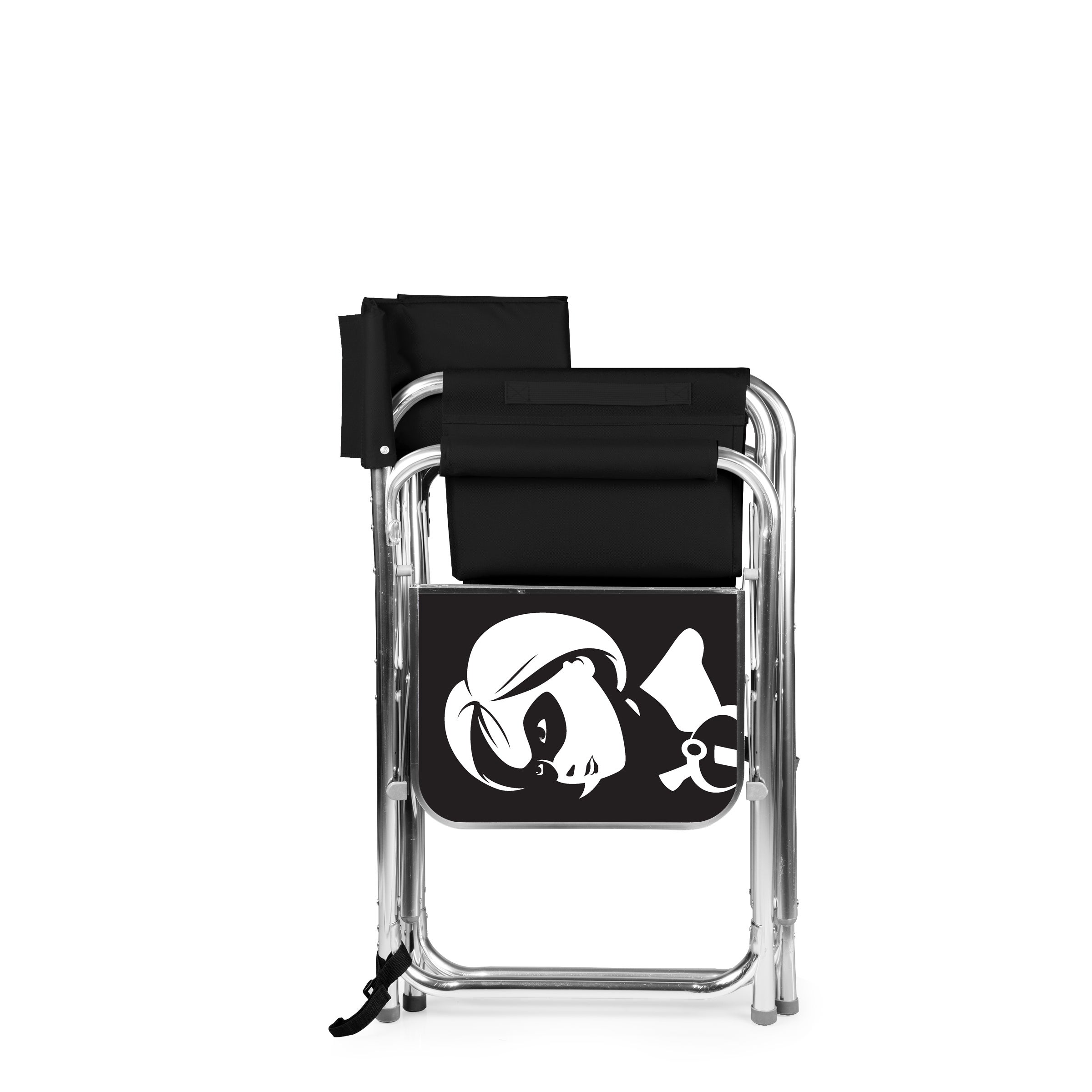 Disney Sports Chair