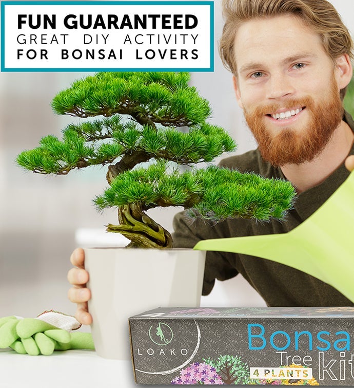 Premium Bonsai Tree Kit