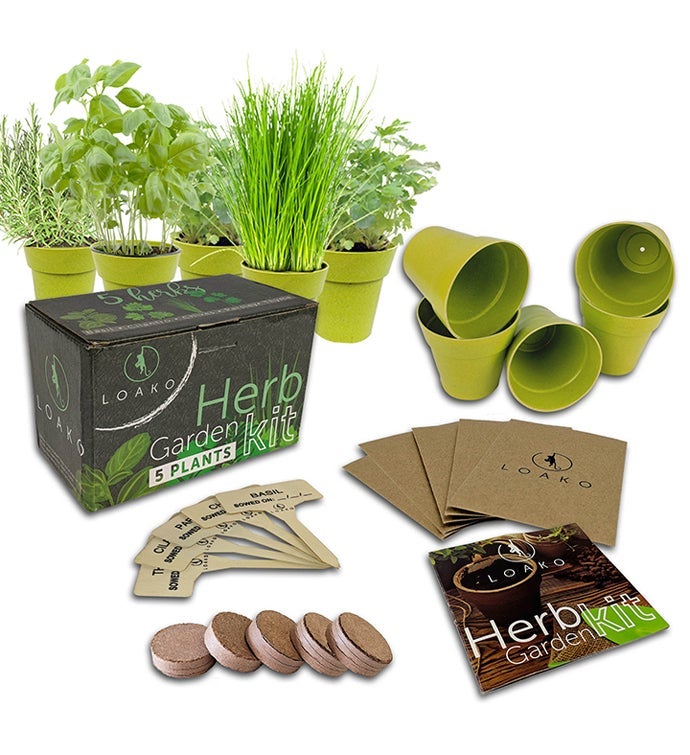 Regular Herb Garden Kit