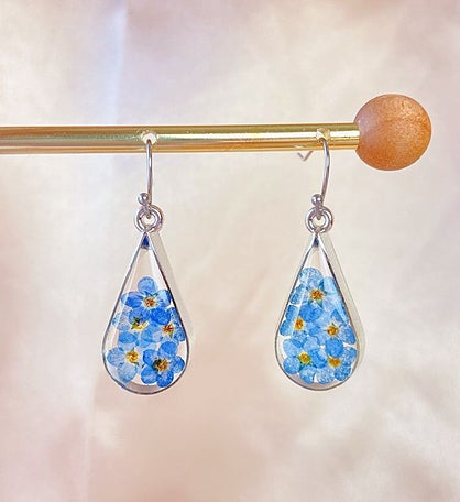 Dried Pressed Forget Me Not Blue Flower Earrings