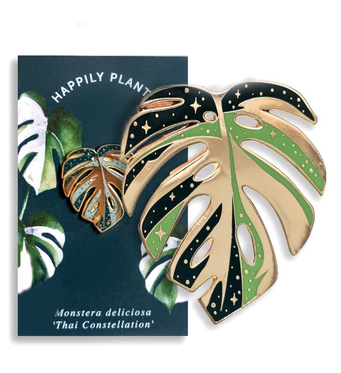 Variegated Monstera Deliciosa Hard Enamel Pin Brooch