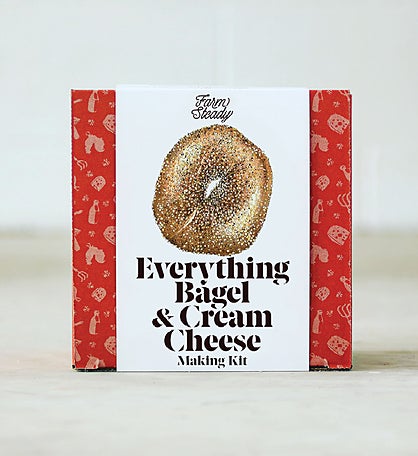 Everything Bagel And Cream Cheese Making Kit