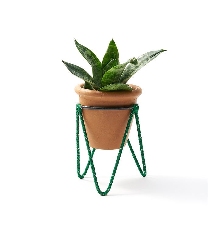 Sarang Plant Pot and Stand - Medium - Artists and Objects