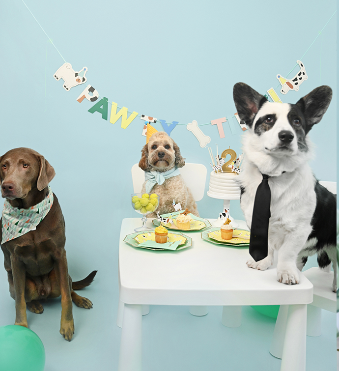 Pawty Time Banner