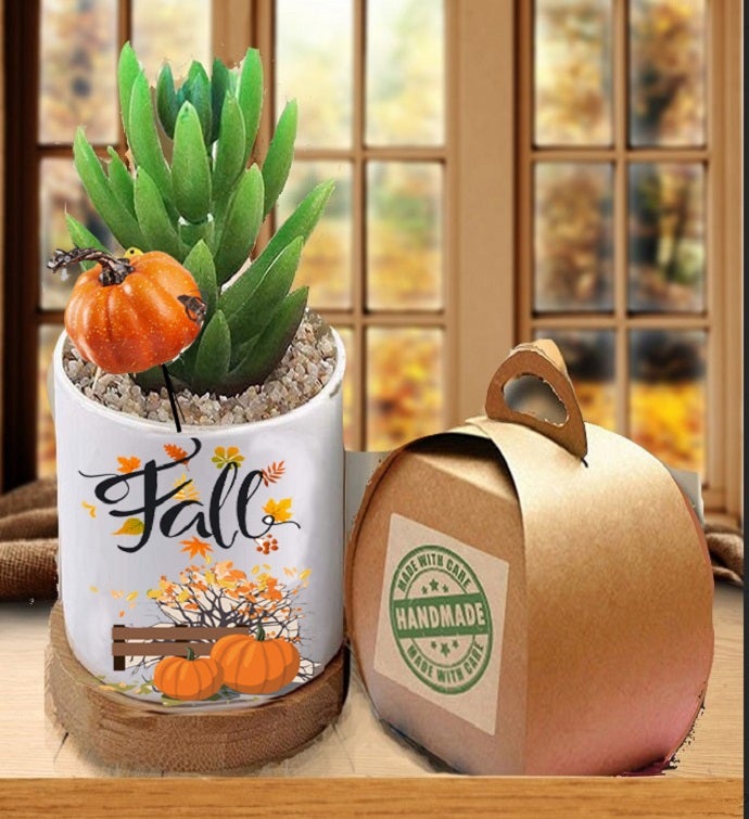 Fall Succulent Gift