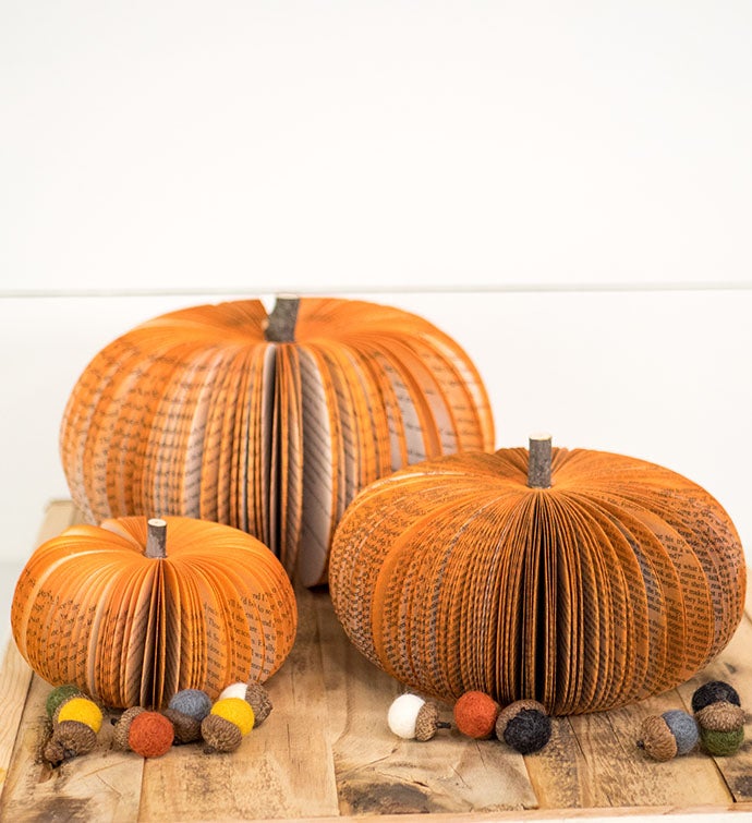 Set Of Rustic Orange Pumpkins