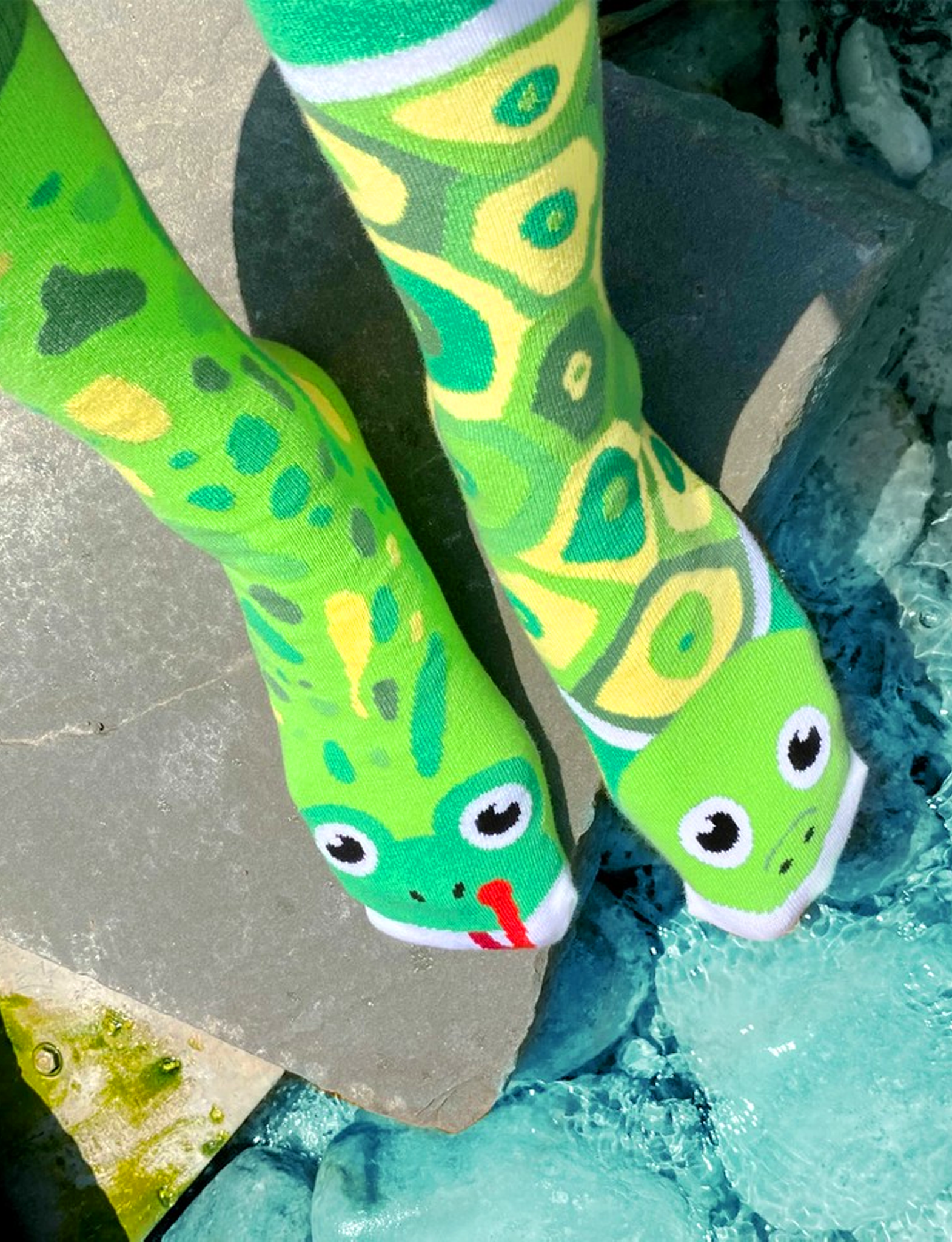 Frog & Turtle Pals Socks