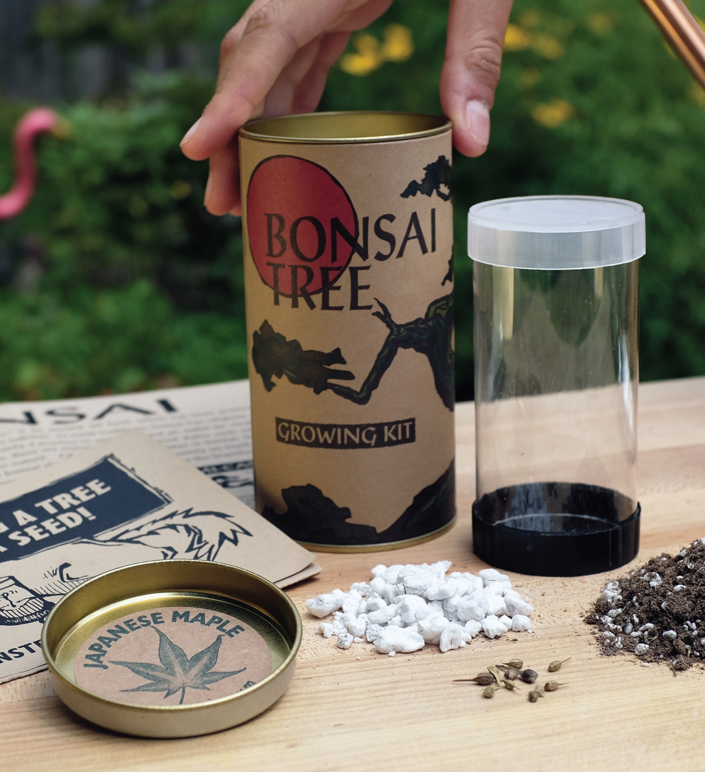 Bonsai Tree Seed Grow Kit