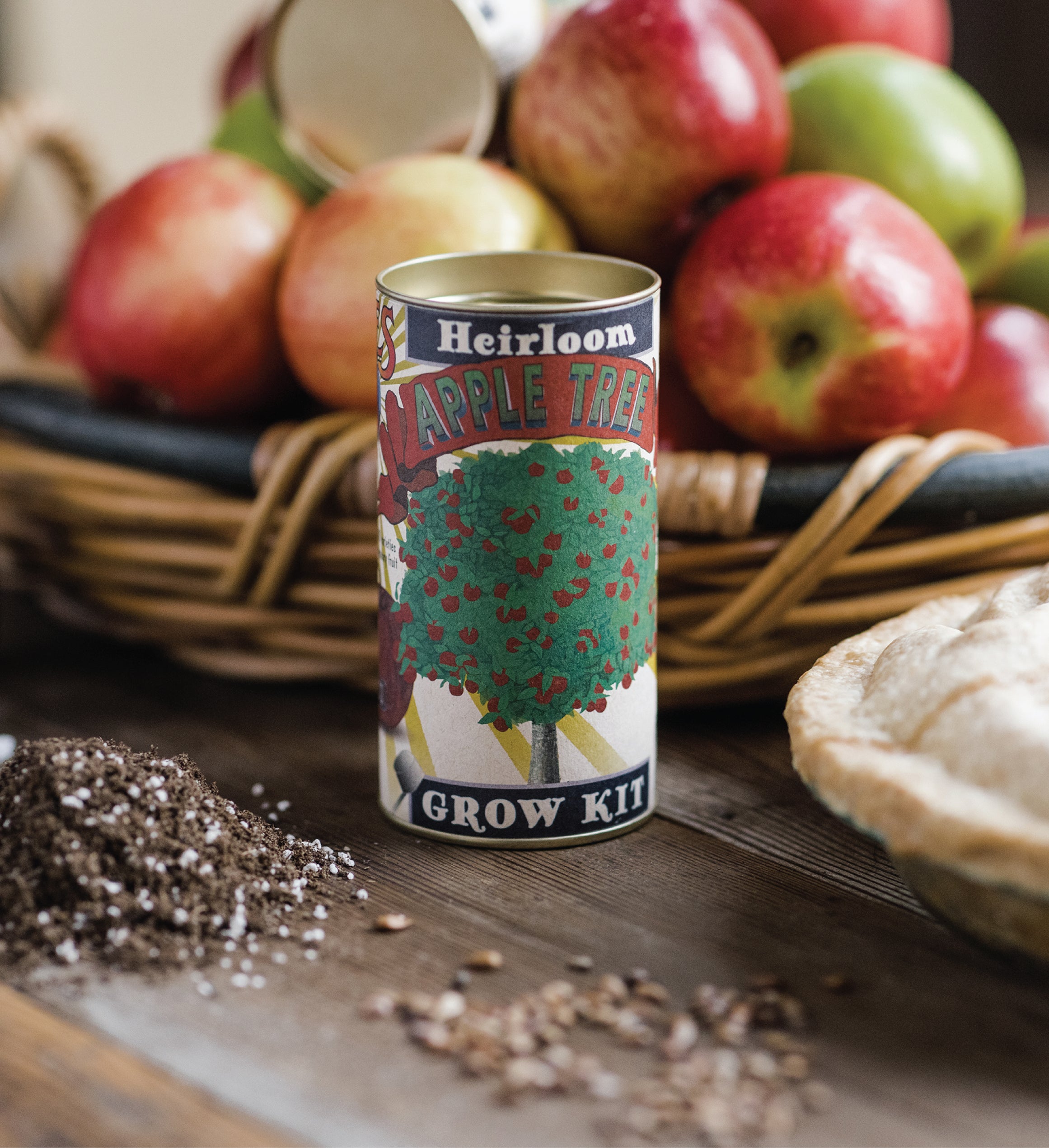 Apple Tree Seed Grow Kit