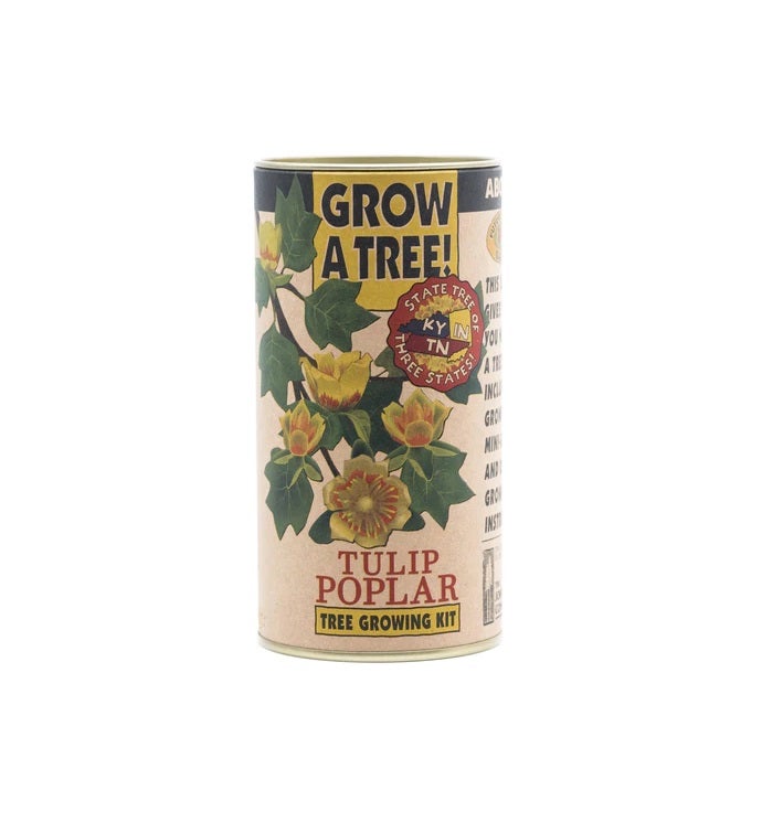 Tulip Poplar Seed Grow Kit