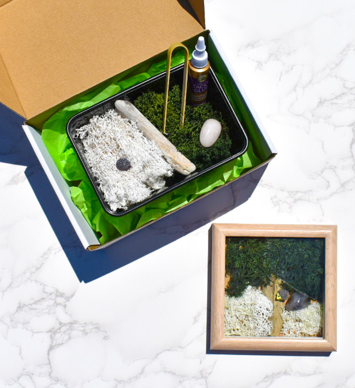 Thank You So Much Diy Moss Wall Art Kit, Mossy Tree