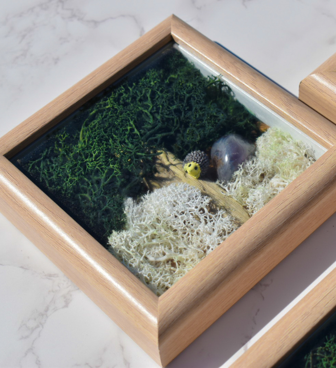 Congrats Diy Moss Wall Art Kit, Mossy Tree