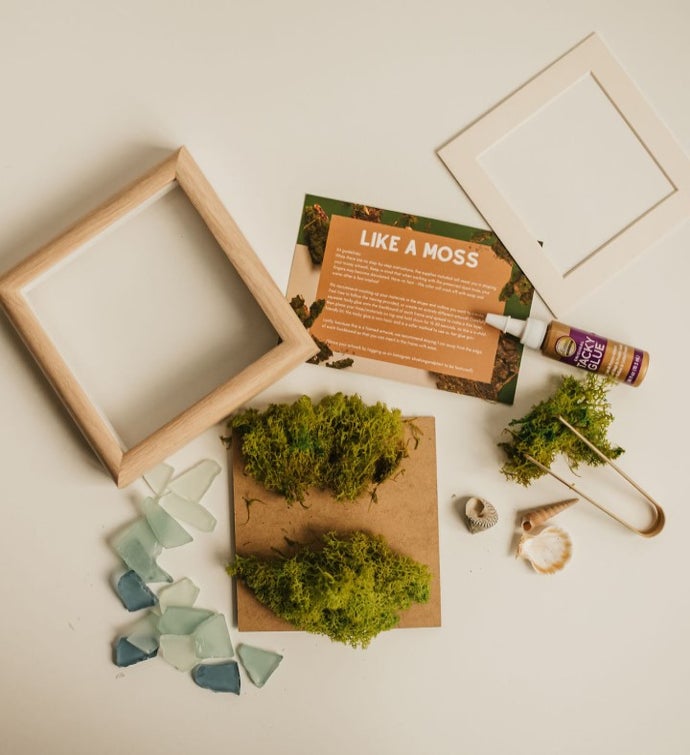 Moss Art DIY Kit – Euflora